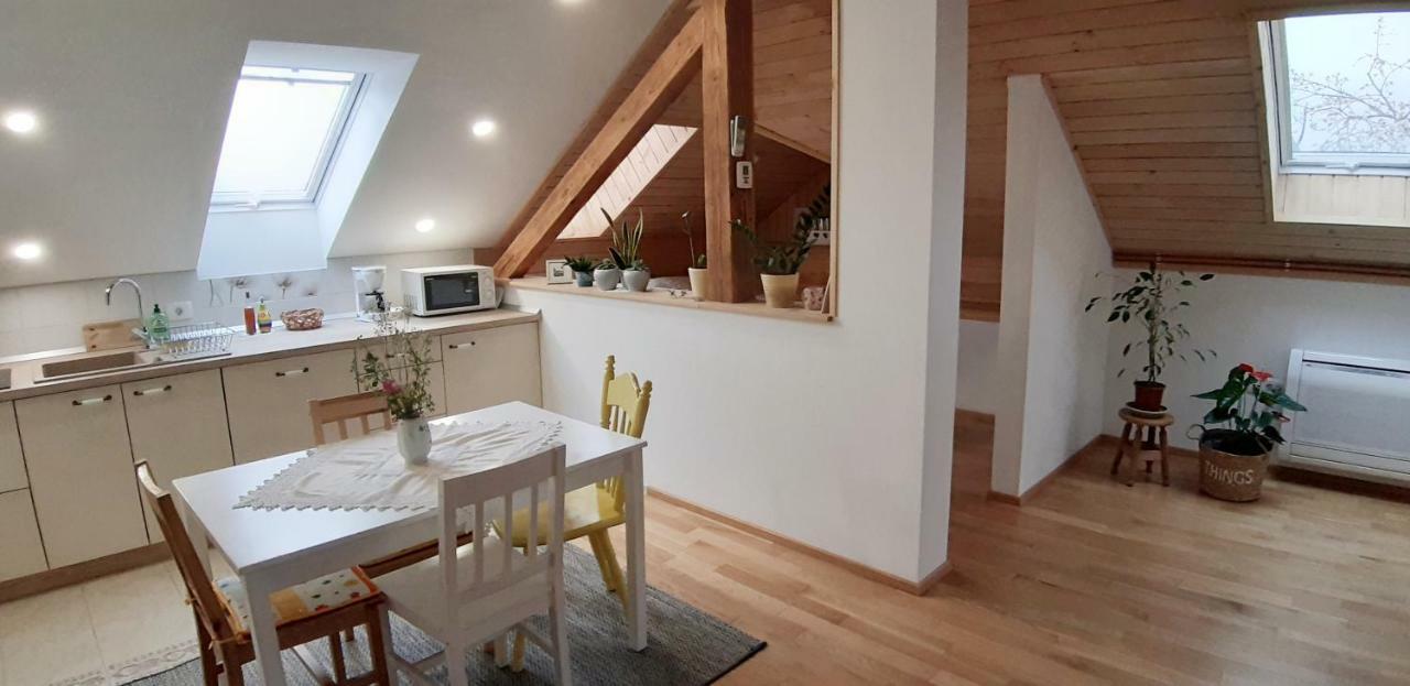 Prenocisca Angelin Hram, Tiny Apartments Markovec Eksteriør billede